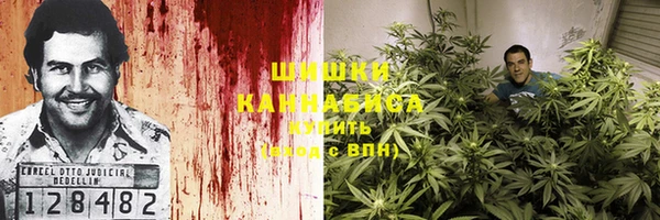 сатива Абинск