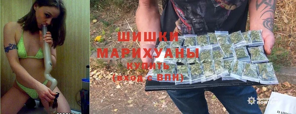 сатива Абинск