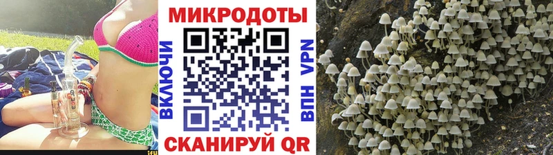 Псилоцибиновые грибы прущие грибы  Октябрьский 