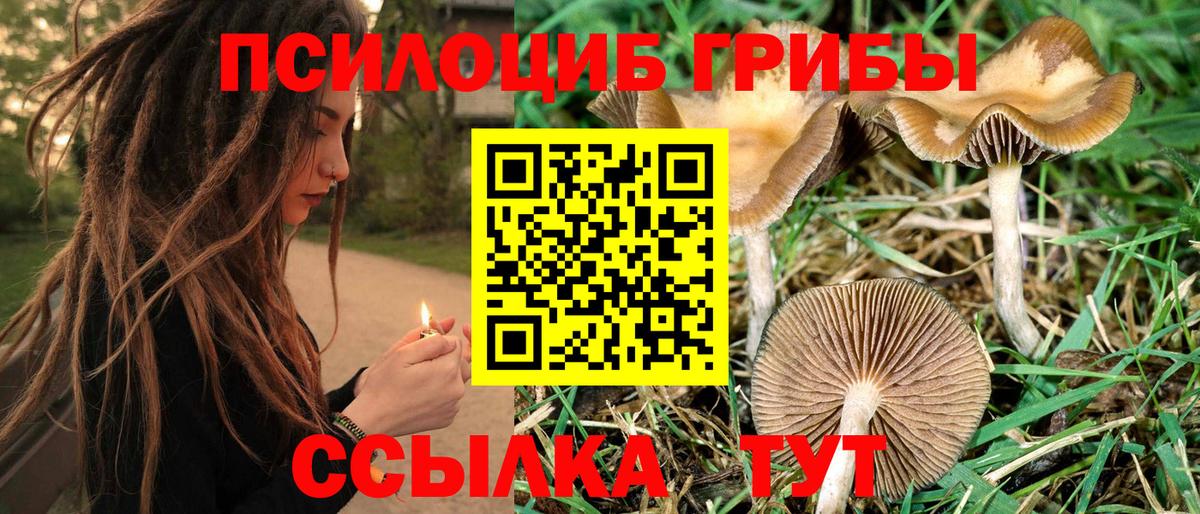 купить  сайты  Вход с VPN  Октябрьский  Псилоцибиновые грибы Psilocybine cubensis 